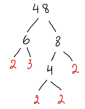 prime factors 48